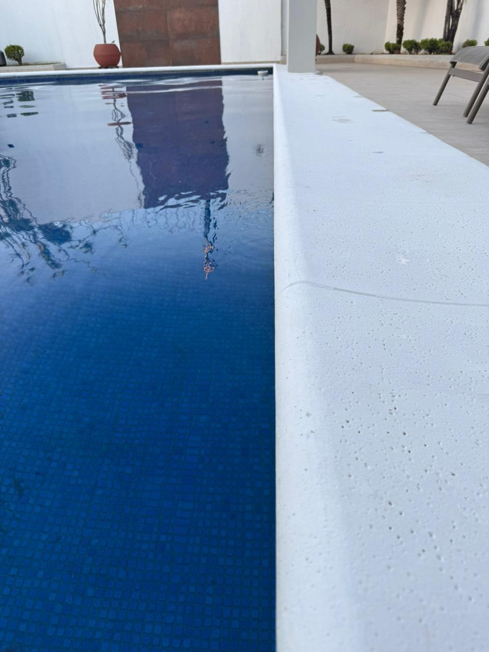 Borda Peito de Pombo